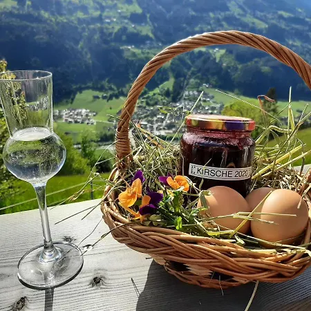 Nesterhof *