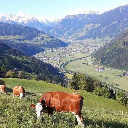 Apartamento Nesterhof