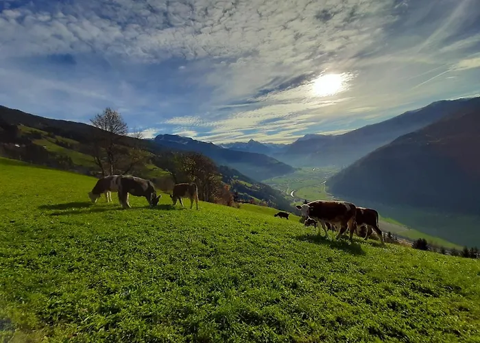 Nesterhof * Aschau Im Zillertal