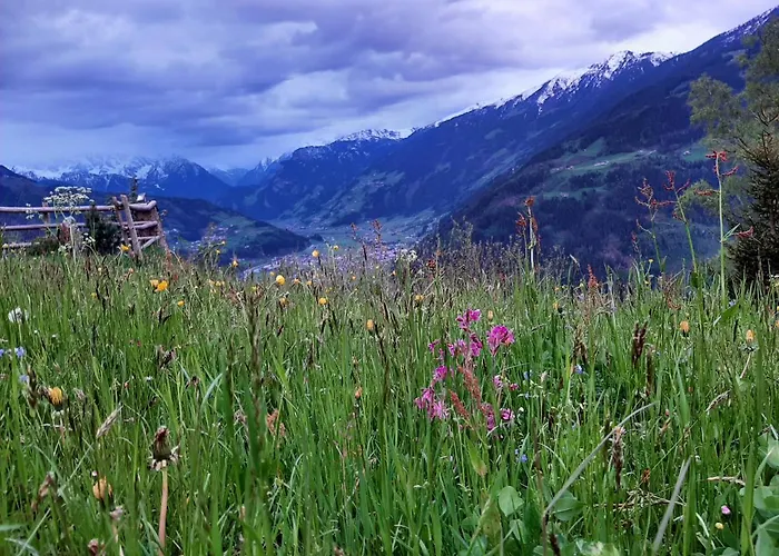 Nesterhof Apartamento