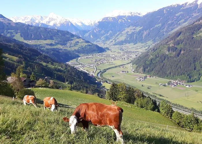 Apartamento Nesterhof